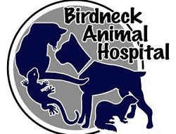 Birdneck animal hospital