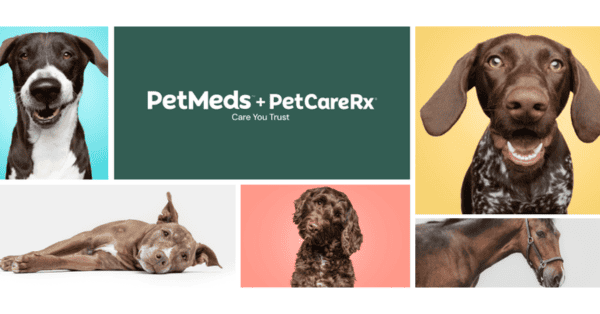 PetMeds Military Discount