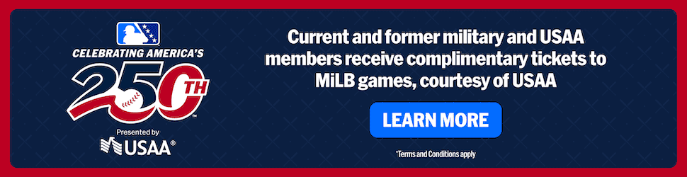 free minor league baseball military