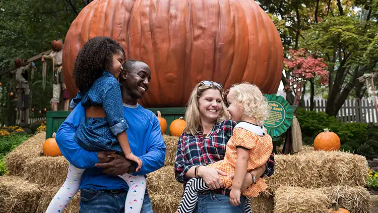 Busch Gardens Williamsburg Military Discount