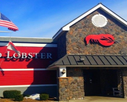 In Honor of Veterans Day, Red Lobster announces Free Dessert or Appetizer for Military Members & Veterans