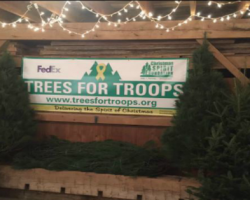 Just Announced....The 2021 Schedule & Locations For Free Christmas Trees From Trees For Troops!