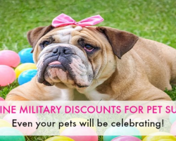 6 Companies That Offer Online Military Discounts On Pet Supplies