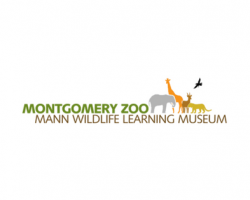 In honor of Veterans Day, The Montgomery Zoo & Mann Wildlife Learning Museum will offer discounted admission to veterans & military families