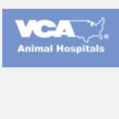 VCA Beacon Hill Cat Hospital - Business - MilitaryBridge